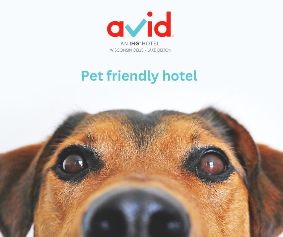 Avid Hotel Wisconsin Dells Lake Delton By Ihg Экстерьер фото